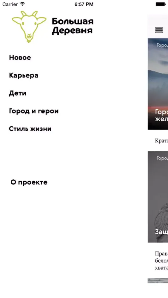 Capturas de tela do Сайт Большая Деревня