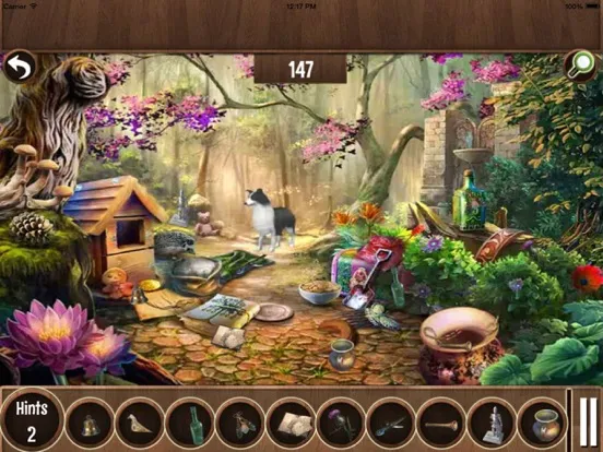 Forest Queen Hidden Objects iPad  Screenshots