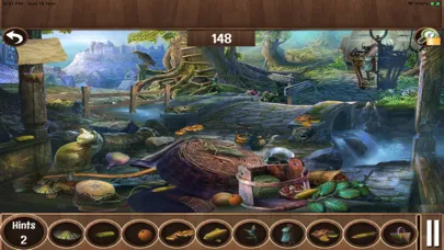 Forest Queen Hidden Objects Screenshots