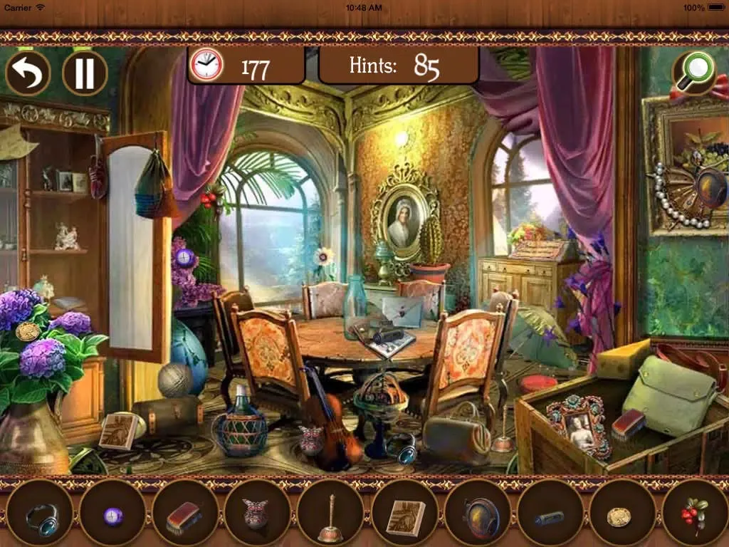 Hidden Objects : House of my Dreams iPad  Screenshots