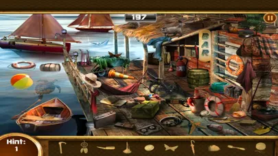 Mystery of the Village 스크린샷