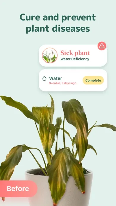 Blossom - Plant Care Guide Screenshots