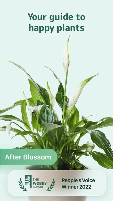 Blossom - Plant Care Guide Screenshots