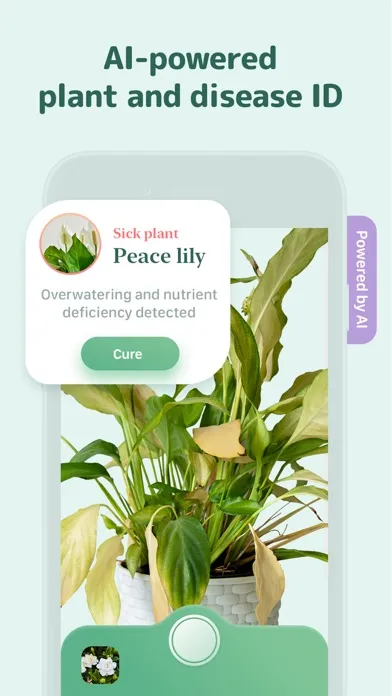 Blossom - Plant Care Guide Screenshots