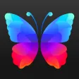 Everpix Wallpapers for iPhone