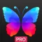 Everpix Pro - HD Wallpapers