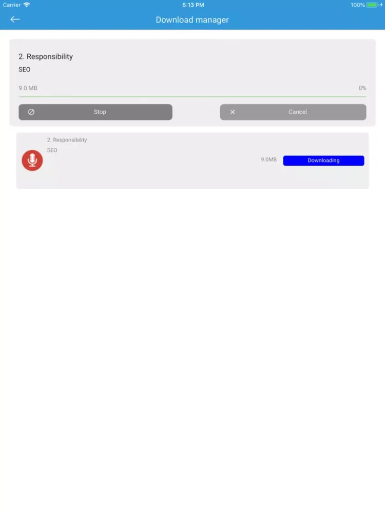 Скриншоты NewSeo iPad 