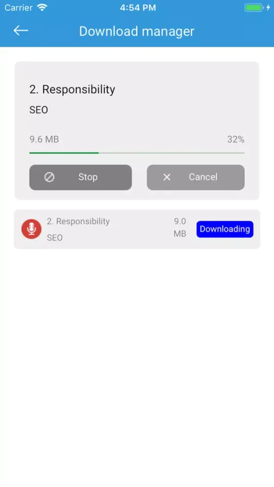 Скриншоты NewSeo