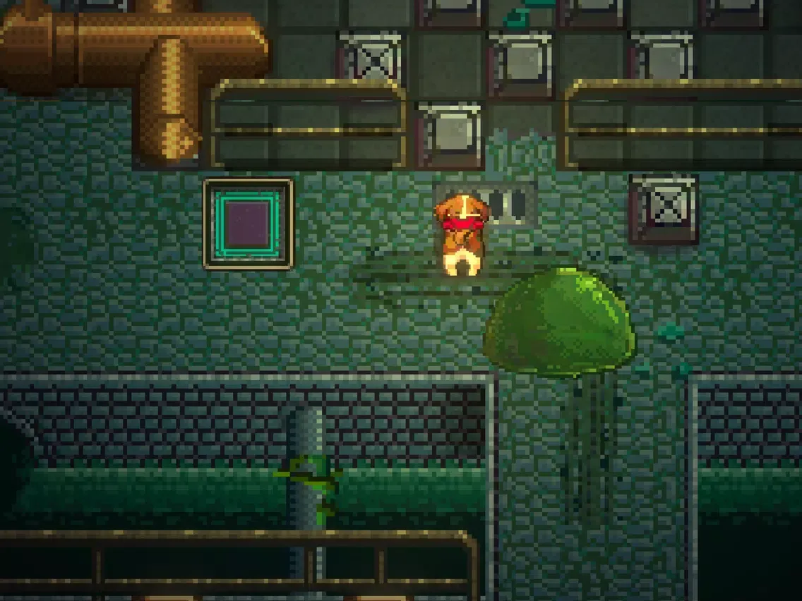 Doggo Dungeon iPad 应用截图