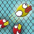 Bird: The Escapist Bird: The Escapist
