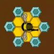 Buzz Bounce Blast Buzz Bounce Blast