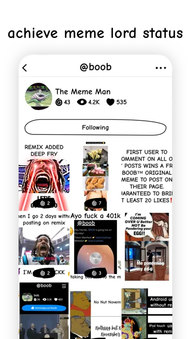 Zrzuty ekranu remix - make memes together
