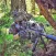 Sniper Games Gun Shooting Game