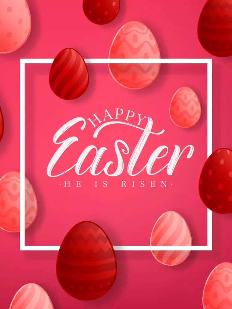 Every Bunny Loves Stickers Emo iPad Screenshots