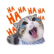 World's Cutest Cat Sticker Emo World's Cutest Cat Sticker Emo