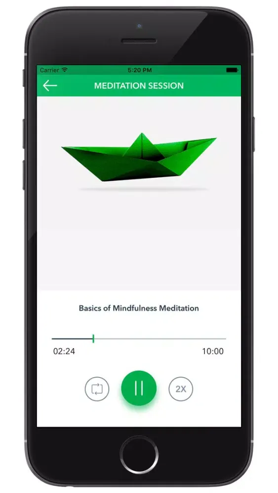 Ảnh chụp màn hình của Mindful Awareness Resilience Skills Training MARST