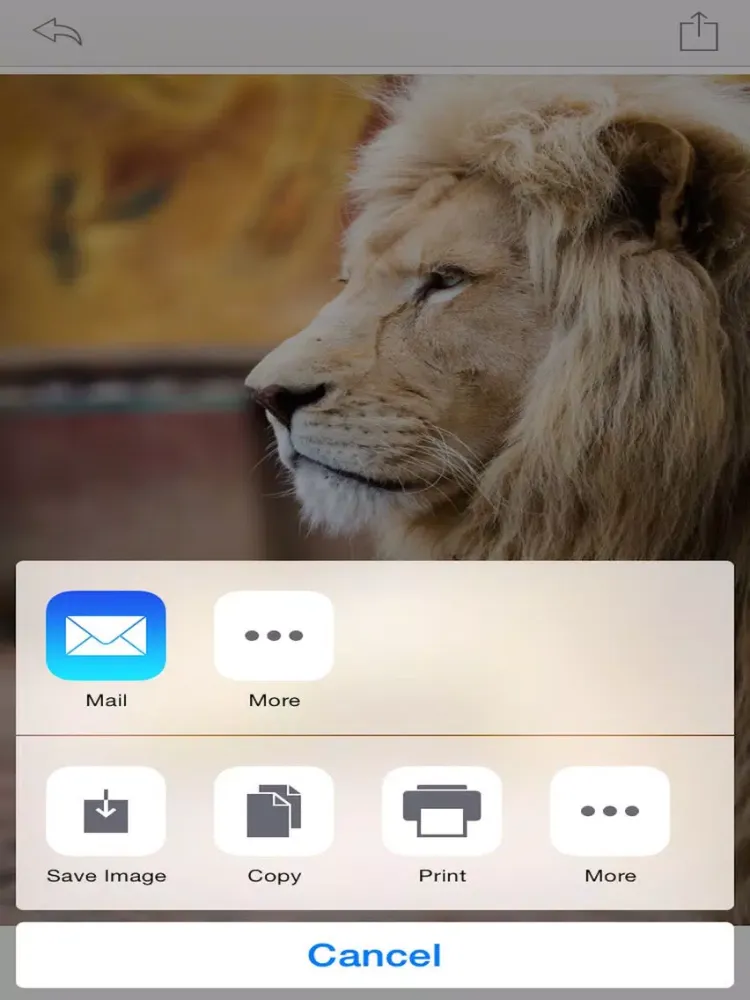 Wallpapers - HD Backgrounds for iPhone, iPod and iPad iPad  স্ক্রিনশট
