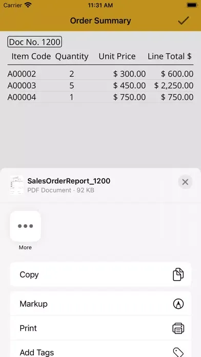 A-Plus Self-Service Screenshots