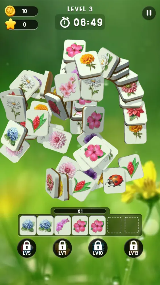 تصاویر Blossom Match