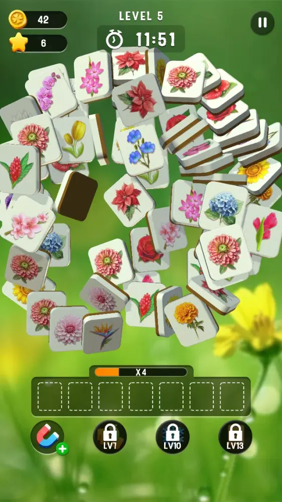 تصاویر Blossom Match