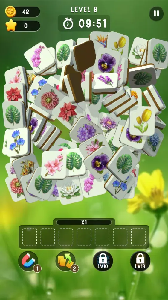 تصاویر Blossom Match