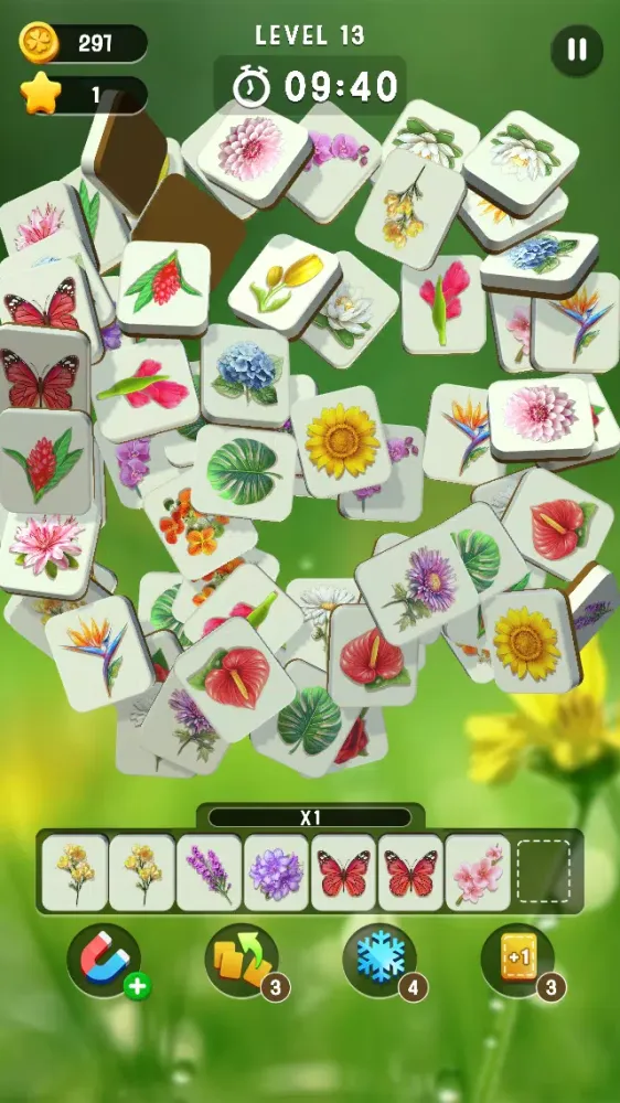 تصاویر Blossom Match