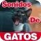 Sounds of Maullando Cats For M