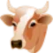 Livestock Census