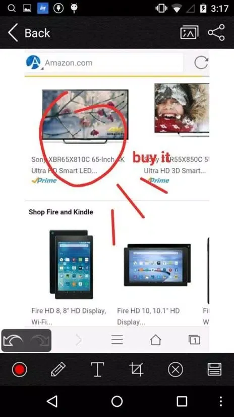 Apowersoft Browser Screenshots
