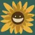 Daylight Sun Tracker Sunflower