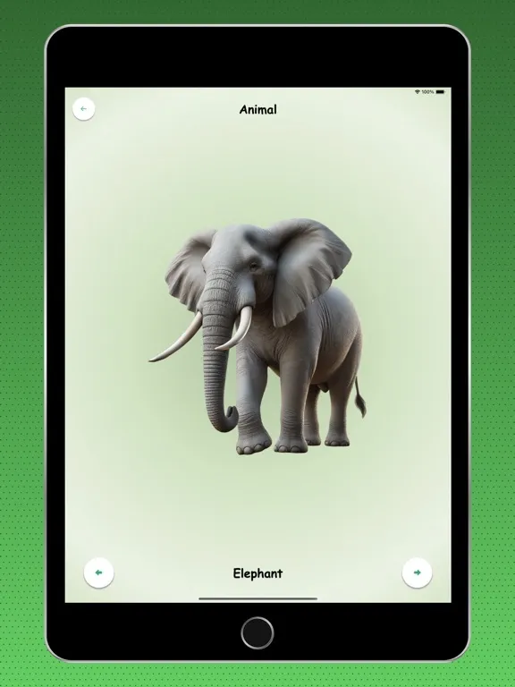 Zrzuty ekranu Kids Learning & Quiz iPad 