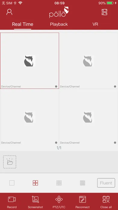 صور Pollo Live Pro