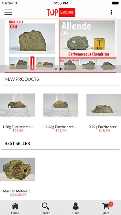 Top Meteorite স্ক্রিনশট