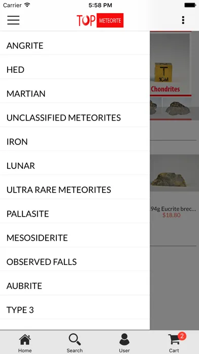 Top Meteorite স্ক্রিনশট