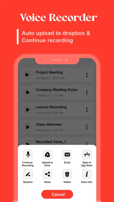 Voice Memo - Voice Recorder应用截图
