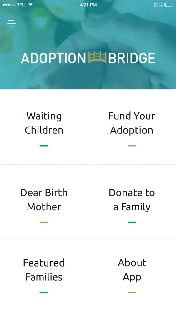 Adoption Bridge Screenshots