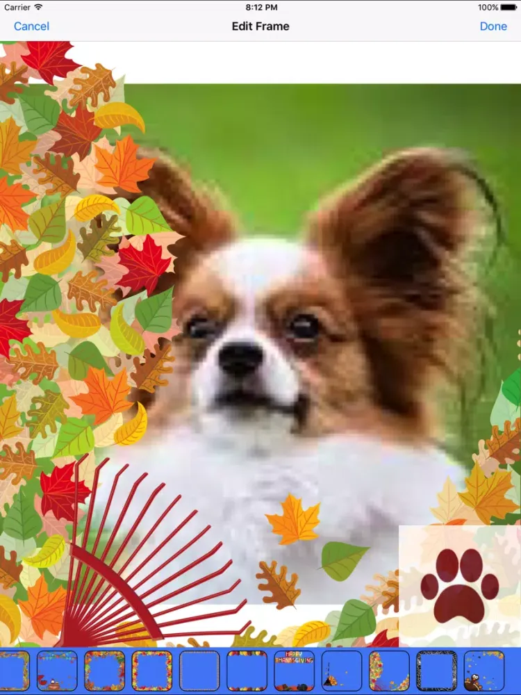 Скриншоты All Pets Vet iPad 