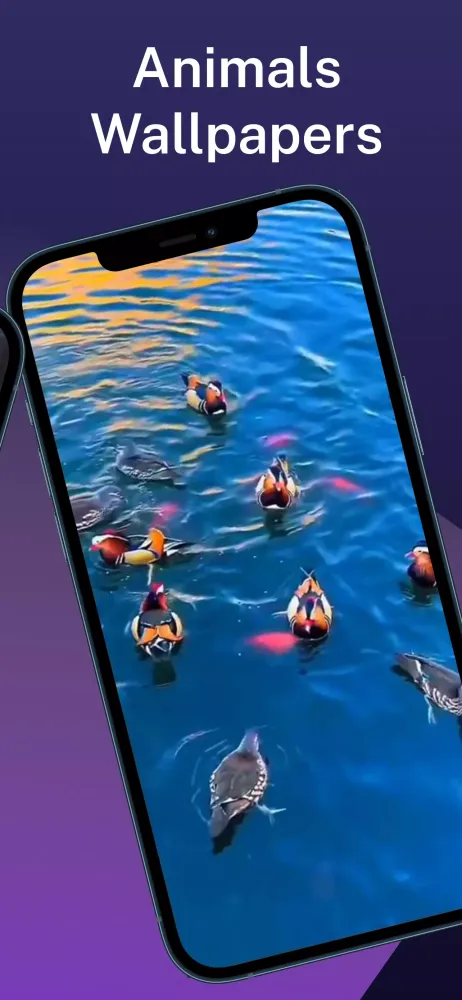 Capturas de pantalla de Hanuman Ji Video Status
