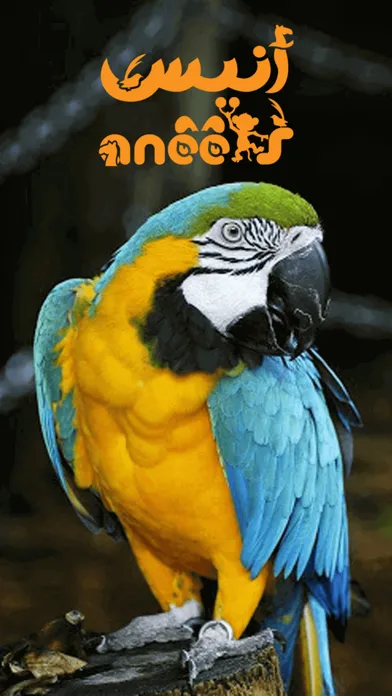 Zrzuty ekranu Anees Animals أنيس