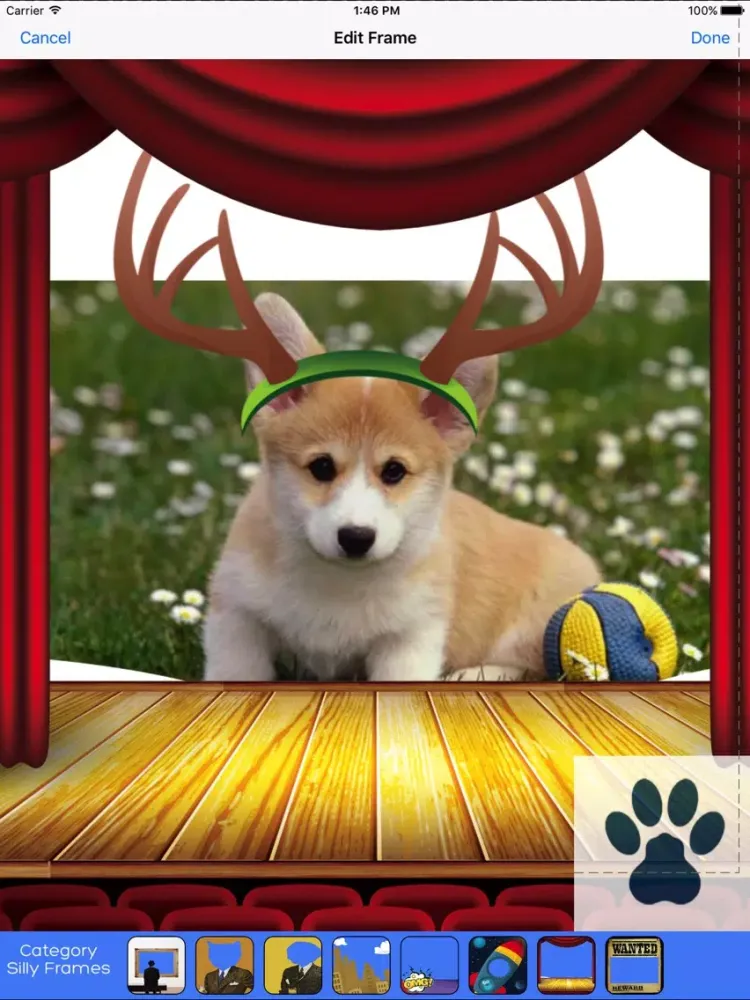 Capturas de tela do Angel Animal Pasadena iPad 
