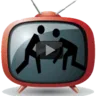 Wrestling Zone