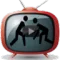 Wrestling Zone