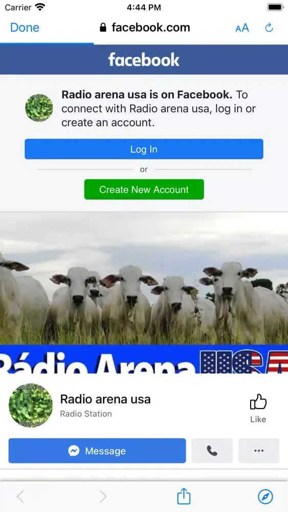Tangkapan layar Radio Arena USA