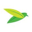 The Baya Company The Baya Company