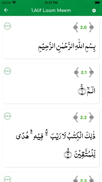 Bayan-ul-Quran 스크린샷