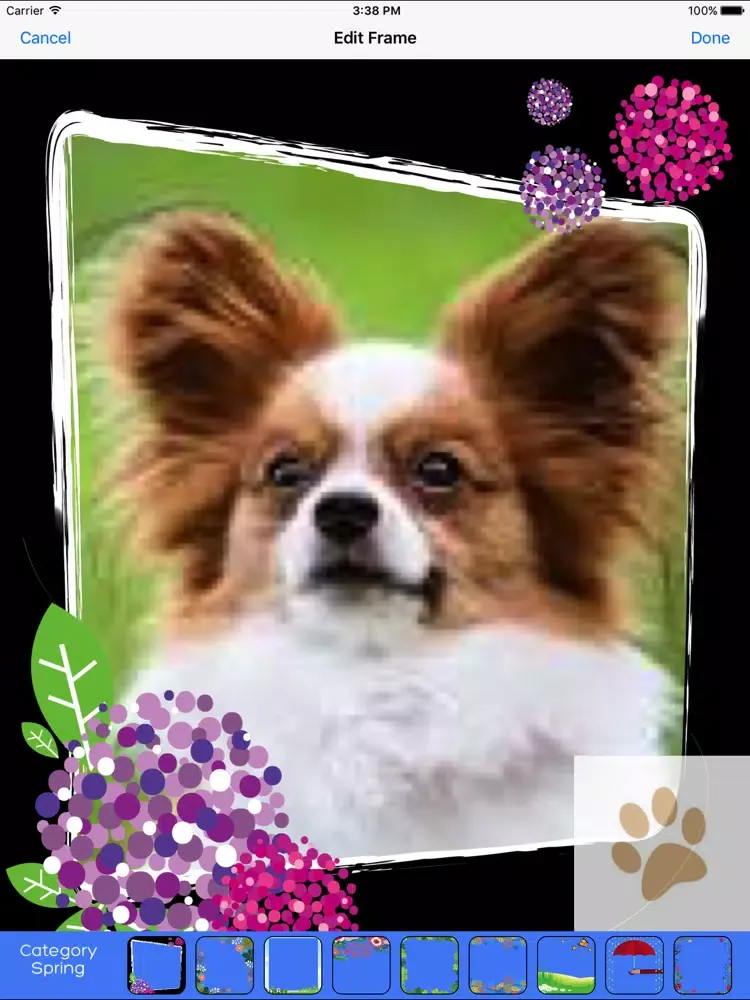 Скриншоты Bayshore Veterinary Hospital iPad 
