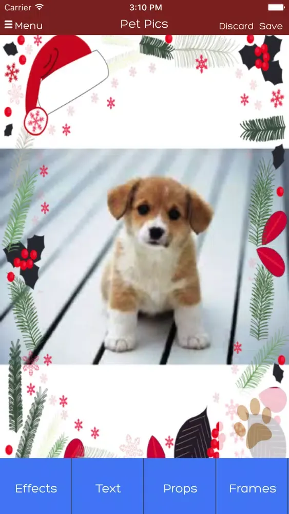 Скриншоты Bayshore Veterinary Hospital