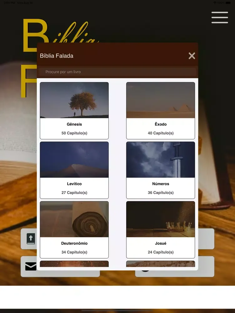 Bíblia Falada: Palavra de Deus iPad 应用截图