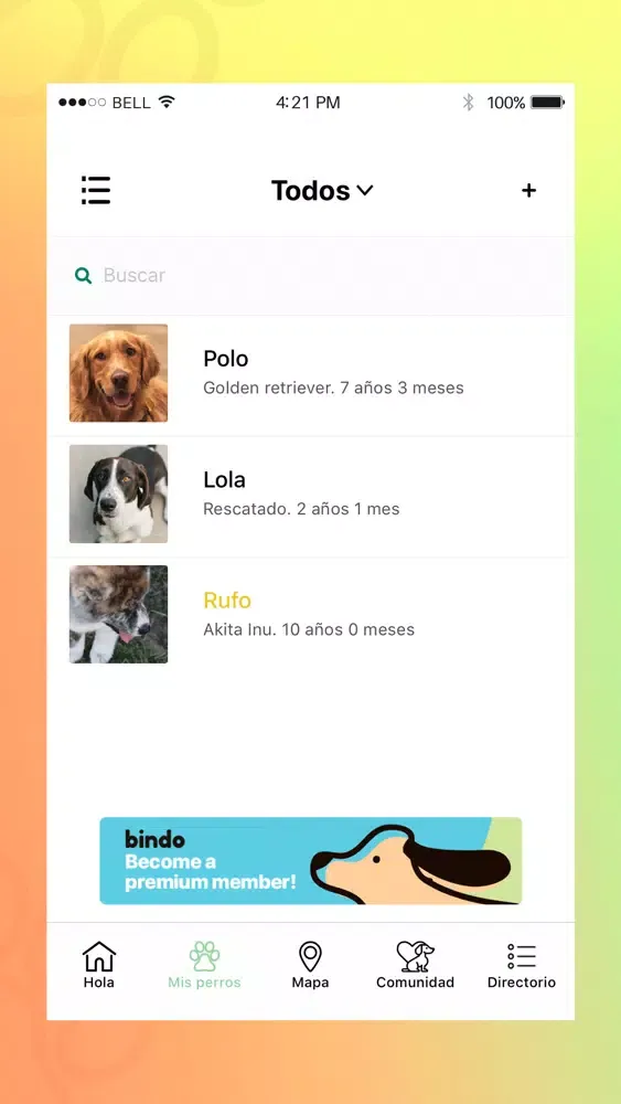 صور Bindo
