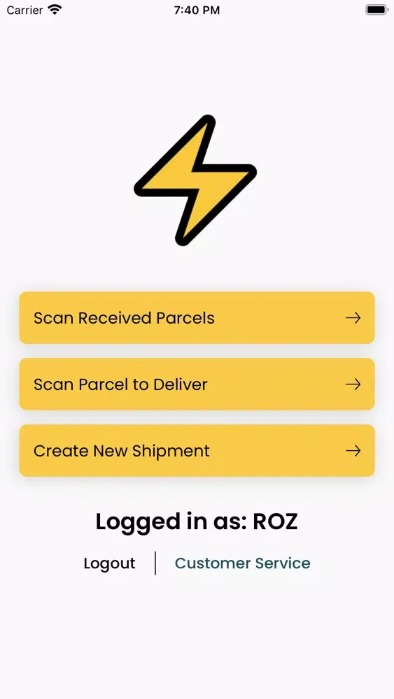 Tangkapan skrin Bolt Service
